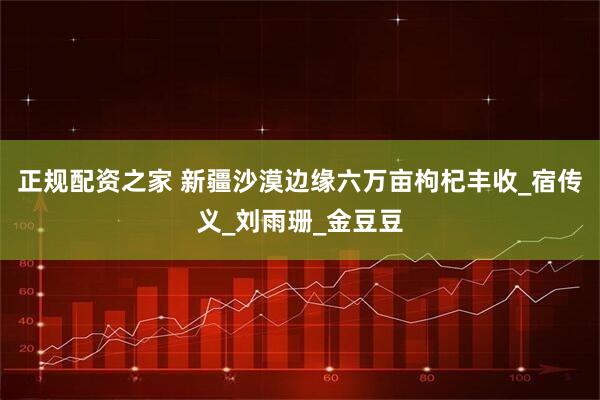 正规配资之家 新疆沙漠边缘六万亩枸杞丰收_宿传义_刘雨珊_金豆豆