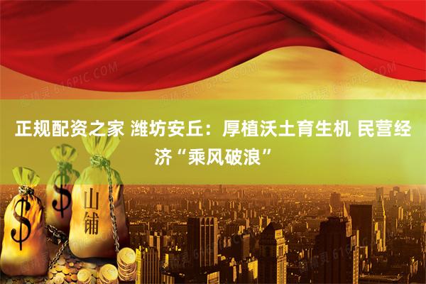 正规配资之家 潍坊安丘：厚植沃土育生机 民营经济“乘风破浪”